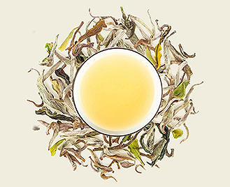 Extrakt z bílého čaje